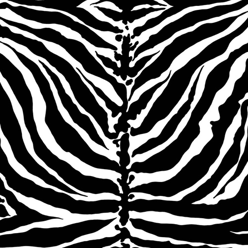 Tiger Stripe | Magpie