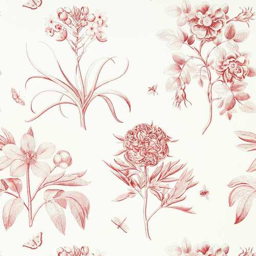Etching & Roses | Red Botanical