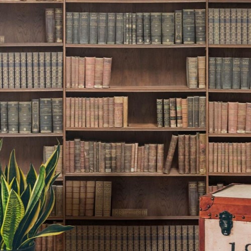Kemra | Bookshelf
