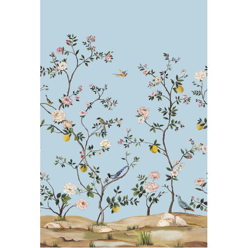 Blossom | Bird Garden Mural