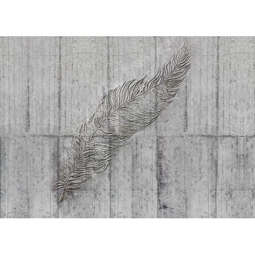 Concrete Feather Mural