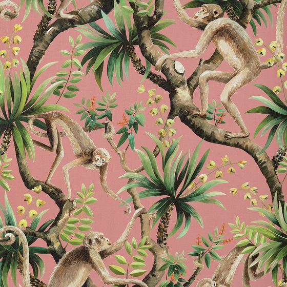 Monkey Business Wallpaper Wallpaper Lane