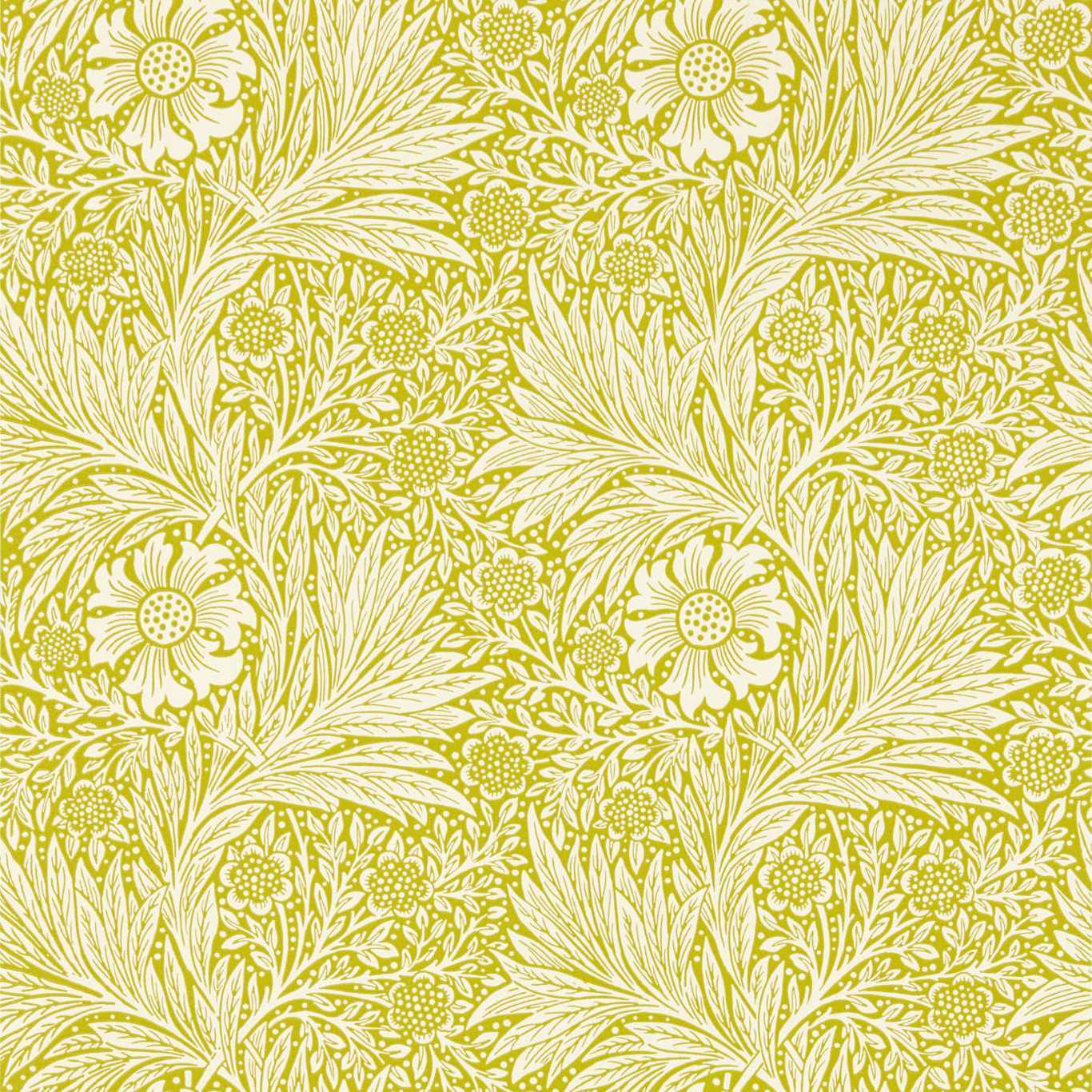 Marigold | Intricate Flower Wallpaper Marigold | Intricate Flower Wallpaper