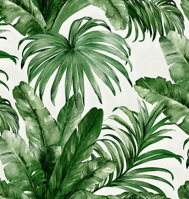 Palm Leaves | WPS004 - Tropical wallpaper Palm Leaves | WPS004 - Tropical wallpaper