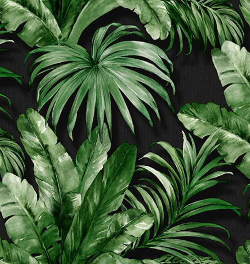 Palm Leaves | WPS005 - Tropical wallpaper Palm Leaves | WPS005 - Tropical wallpaper