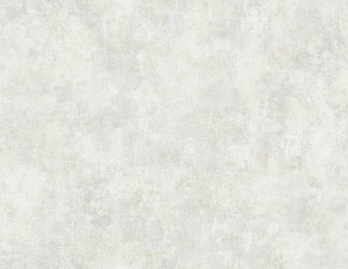 Distressed Plain | Concrete Texture Wallpaper