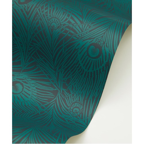 Hera Plume | Peacock Feather Wallpaper