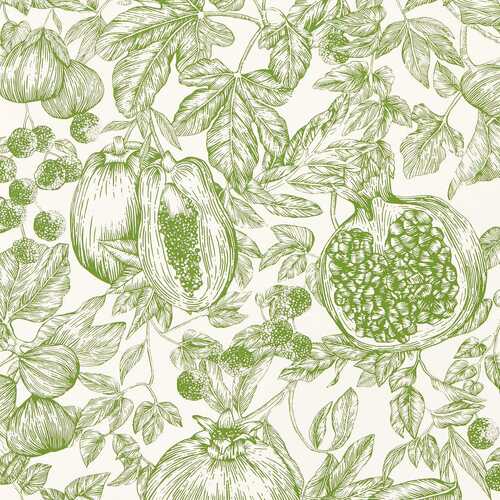 Melograno | Fruit Toile Wallpaper