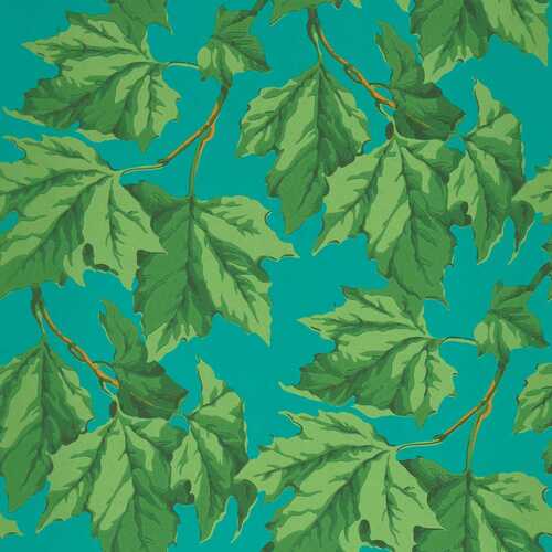 Dappled Leaf | Leaf Canopy Wallpaper