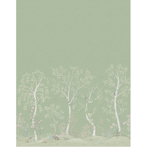 Seasonal Woods | Birch Tree Wall Mural