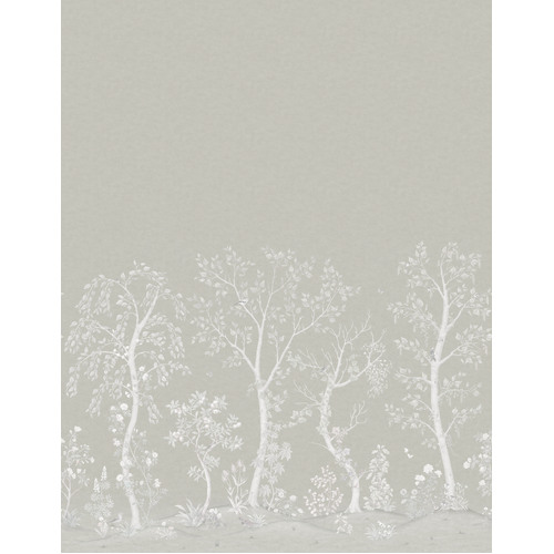Seasonal Woods | Birch Tree Wall Mural
