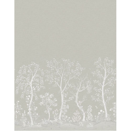 Seasonal Woods | Birch Tree Wall Mural
