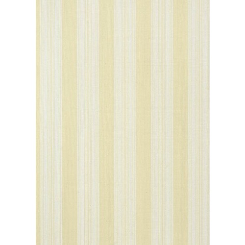 Deck Stripe | T24346