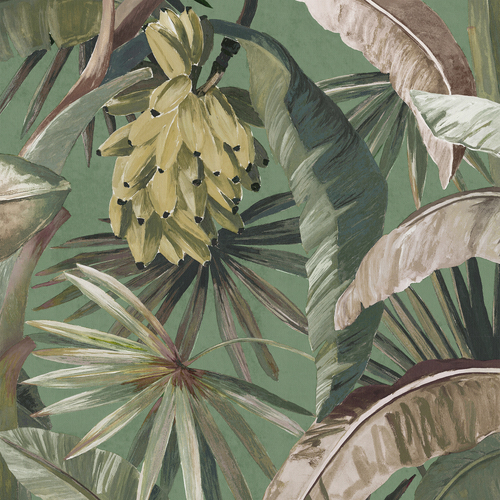 La Palma | Tropical Palm Wallpaper