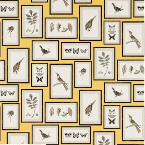 Voyage of Discovery | Picture Gallery (5 colours)