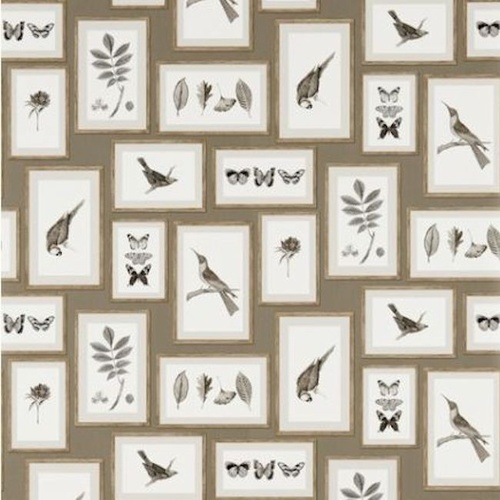 Voyage of Discovery | Picture Gallery (5 colours)