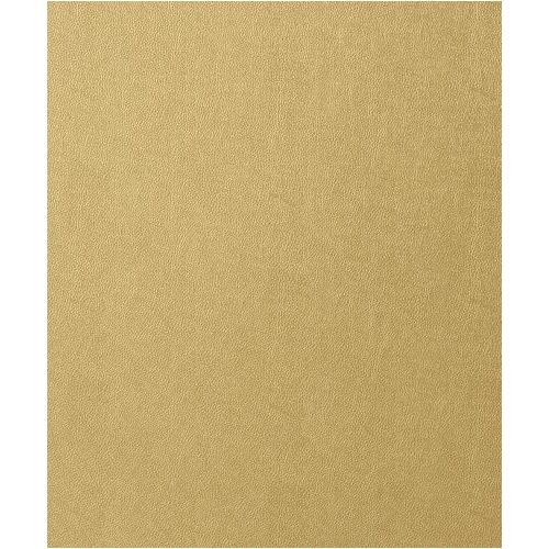 Western Leather | T57161