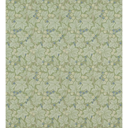 Bramble | DM3W214696