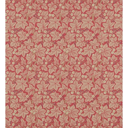 Bramble | DM3W214697
