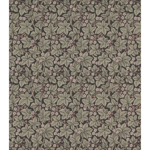 Bramble | DM3W214699