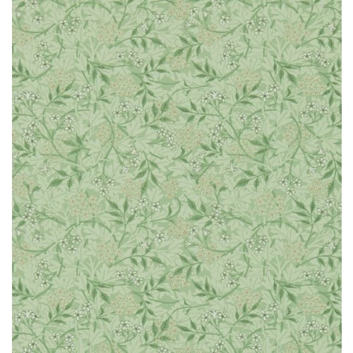 Jasmine | DM3W214722