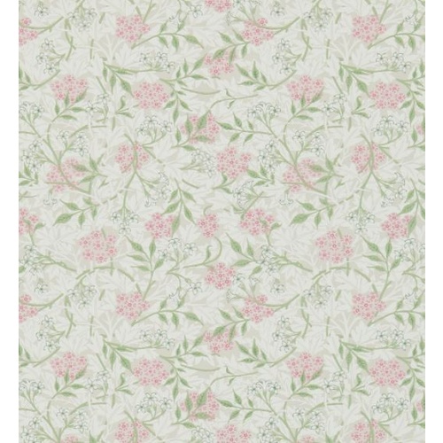 Jasmine | DM3W214725