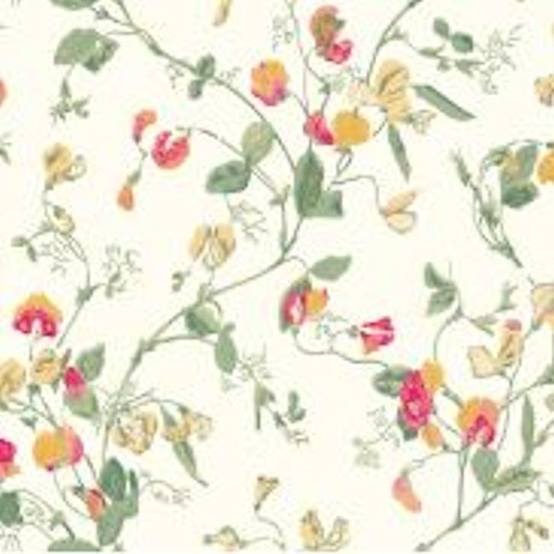 Sweet Pea | 100-6027