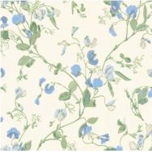 Sweet Pea | 100-6031