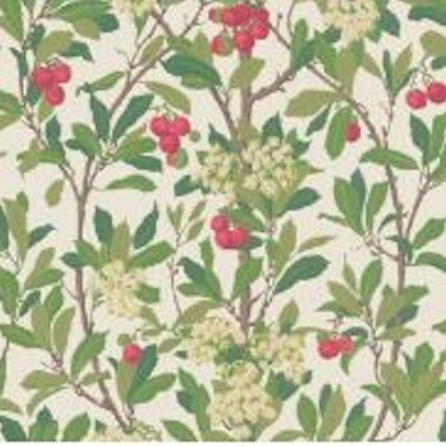 Strawberry Tree | 100-10049