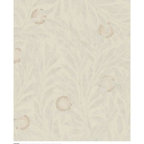 Orange Tree | 216403