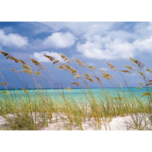 Mural | Ocean Breeze 8-515 - Grasses in the Breeze