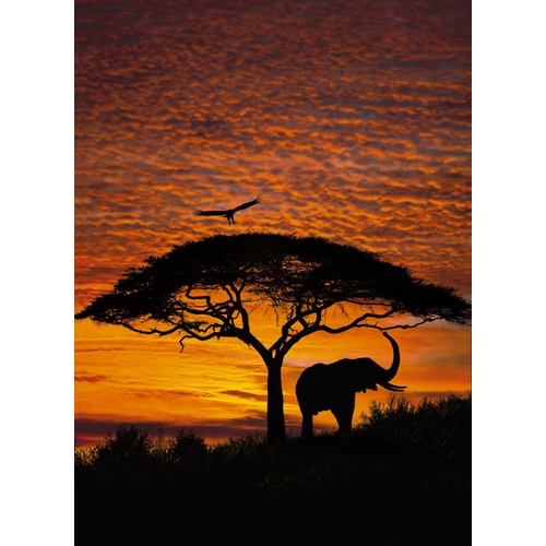 African Sunset | Mural | 4-501