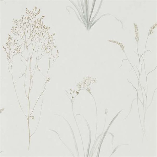 Farne Grasses | 216487