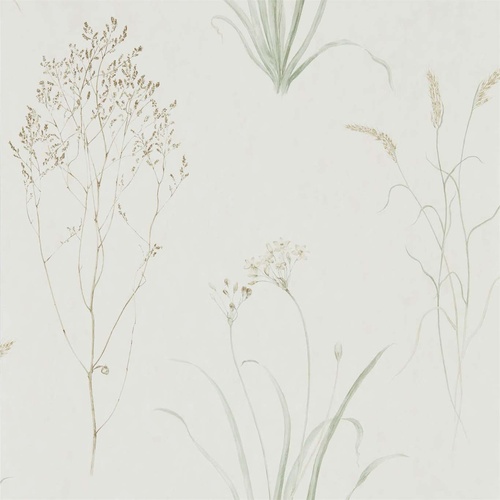 Farne Grasses  | 216488