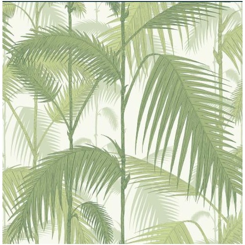 Palm Jungle | 95/1001