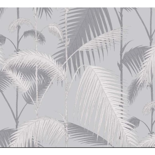 Palm Jungle | 95/1007