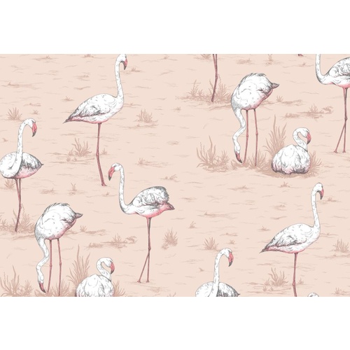 Flamingos | 112-11039