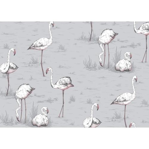 Flamingos | 112-11040