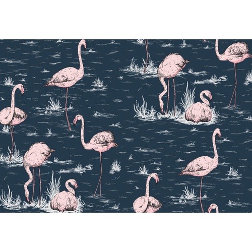 Flamingos | 112-11041