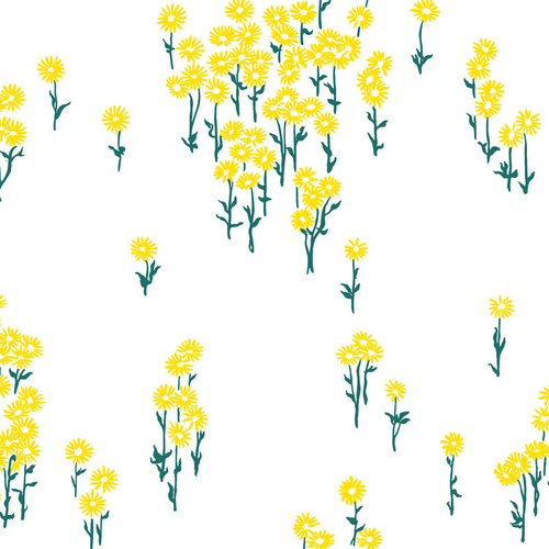 Scatter Daisy | Sunflower