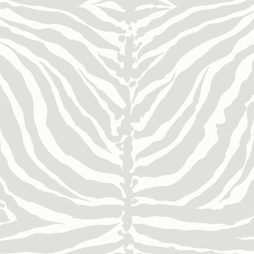 Tiger Stripe | Brume