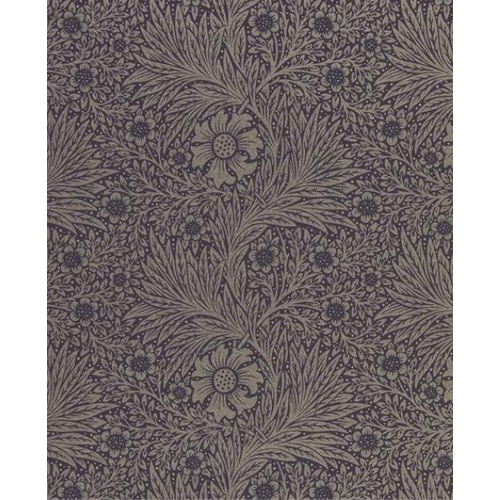 Pure Marigold | 216535