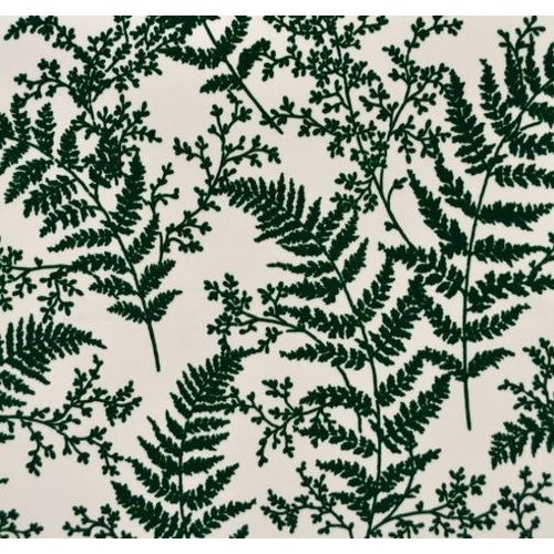 Forest Fern | ME1585