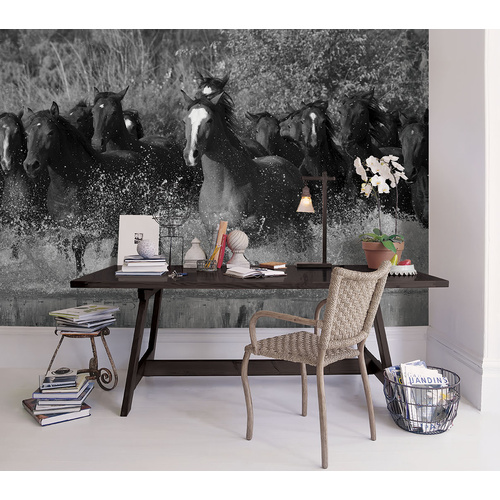 Global Fusion | Mural | G45278