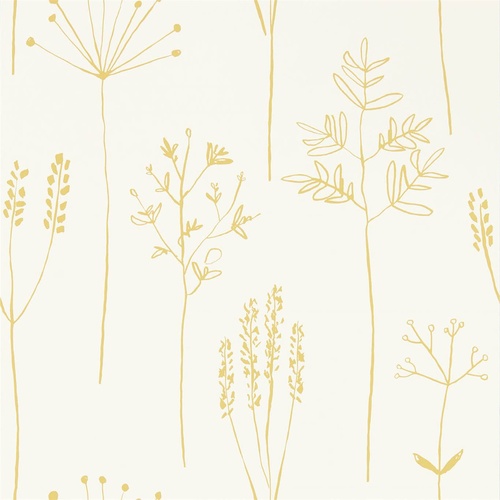 Stipa | 112021