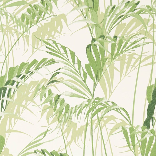 Palm House | 216643