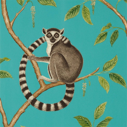 Ringtailed Lemur | 216663