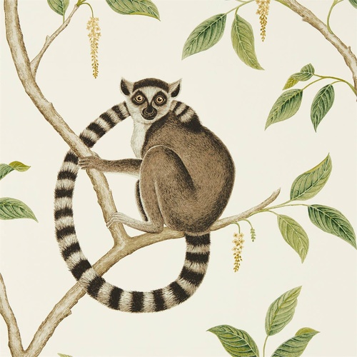 Ringtailed Lemur - 216664