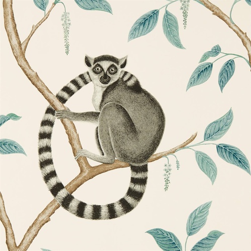 Ringtailed Lemur | 216665