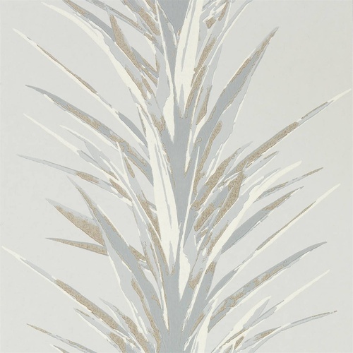 Yucca | 216650